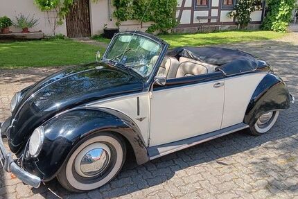 VW Käfer 99.999 km 39.900 &euro; Langelsheim 38685