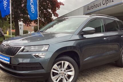 Skoda Karoq 101.584 km 19.590 &euro; Wendeburg 38176
