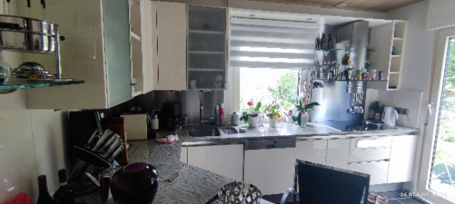 EFH mit Einliegerwohnung und Parkgrundstück in Schöningen - Einfamilienhaus Schöninngen | Angebot:24745629