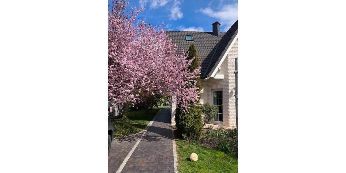 Einfamilienhaus Langelsheim - 5 Zimmer, 150 m&sup2;, 425.000&euro; | Angebot:26322129