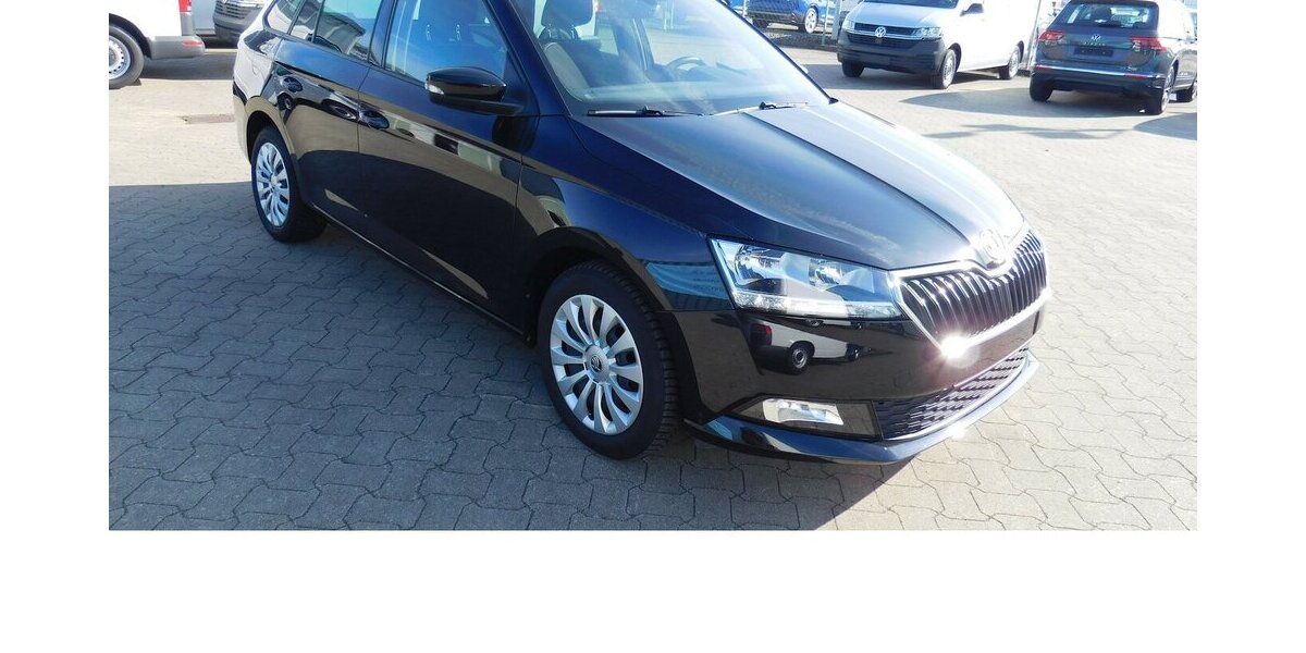 Skoda Fabia 1.0 Kombi Ambition TSI BMT Navi Klima 19.900 km 15.990 &euro; Vordorf 38533
