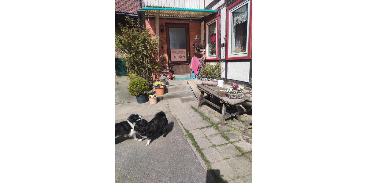 Bauernhaus, Landhaus Königslutter am Elm - 280.000&euro; | Angebot:26091113