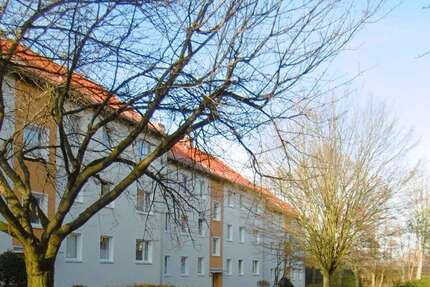 Wohnung Braunschweig Südstadt- Rautheim- Mascherode - 3 Zimmer, 66 m&sup2;, 601&euro; | Angebot:27097496