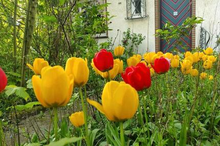 Haus Salzgitter Ortschaft Ost - 7 Zimmer, 140 m&sup2;, 210.000&euro; | Angebot:25422615