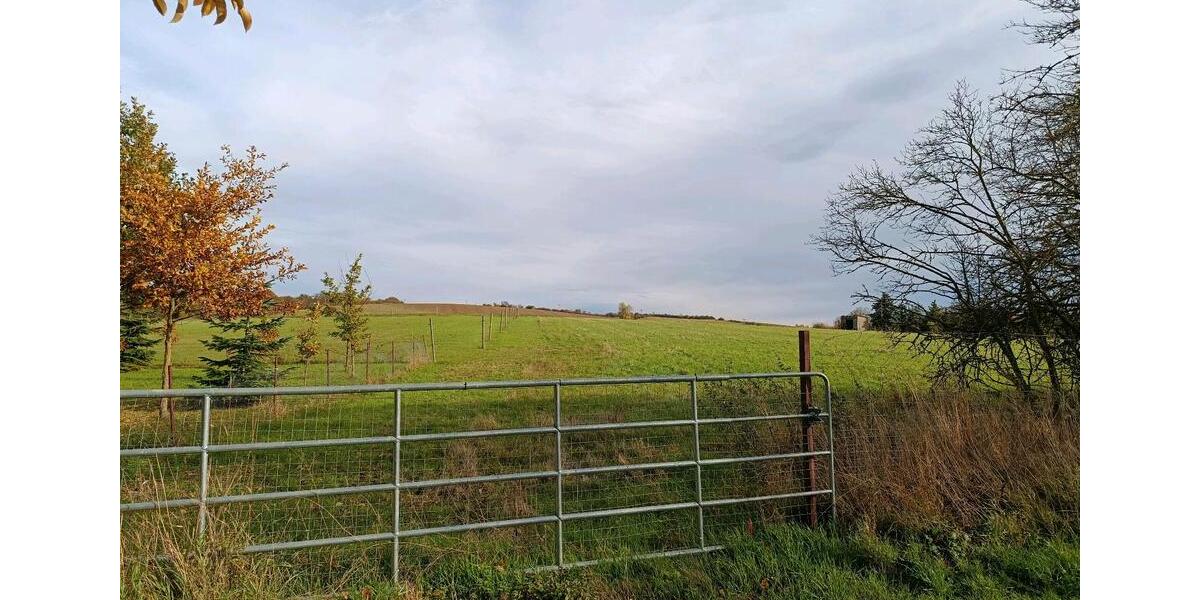 Einfamilienhaus Schladen-Werla Werla - 6 Zimmer, 250 m&sup2;, 470.000&euro; | Angebot:23410112