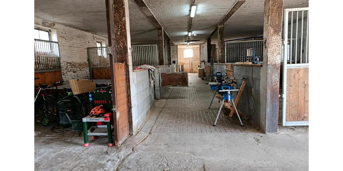 Einfamilienhaus Schladen-Werla Werla - 6 Zimmer, 250 m&sup2;, 470.000&euro; | Angebot:23410112