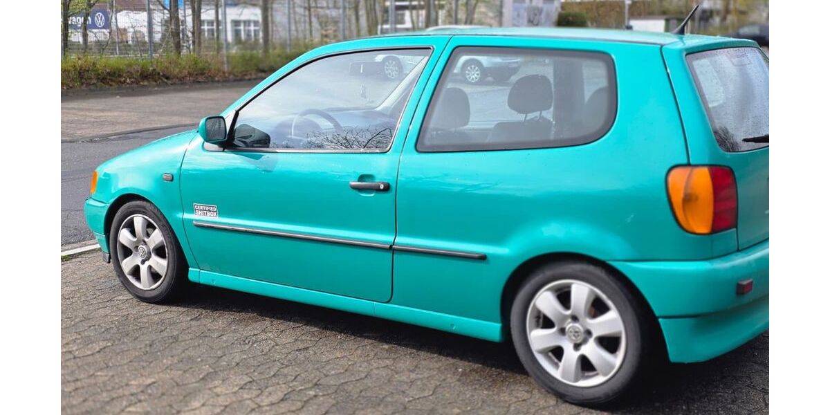 VW Polo 170.000 km 1.200 &euro; Calberlah 38547