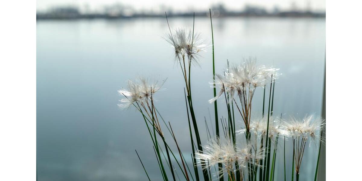 Einfamilienhaus Wolfenbüttel Ahlum - 3 Zimmer, 97 m&sup2;, 589.000&euro; | Angebot:23642526