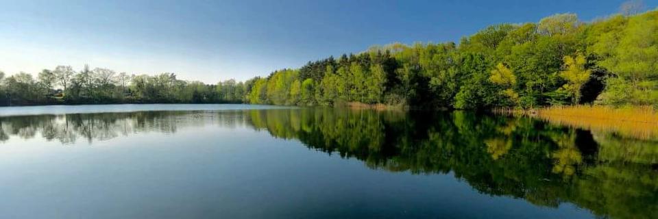 Einfamilienhaus Braunschweig Wabe-Schunter-Beberbach - 6 Zimmer, 313 m&sup2;, 1.499.000&euro; | Angebot:26121957