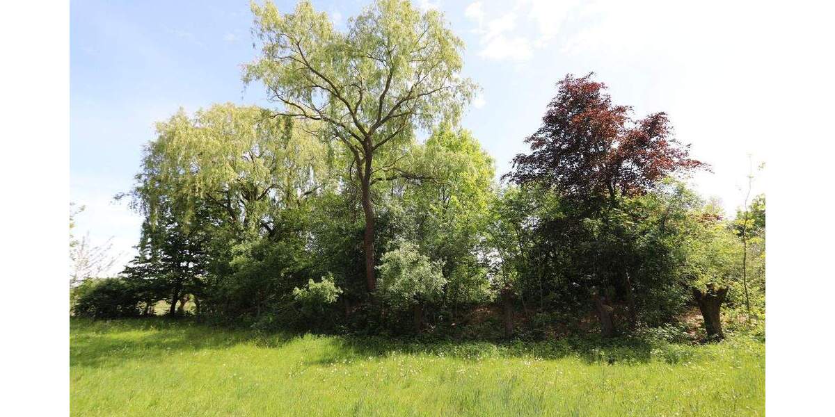 Mehrfamilienhaus, Wohnhaus Wasbüttel - 7 Zimmer, 269 m&sup2;, 550.000&euro; | Angebot:25662752