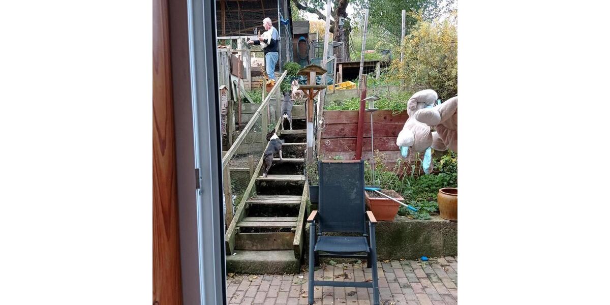 Bauernhaus, Landhaus Langelsheim Ostlutter - 6 Zimmer, 160 m&sup2;, 97.000&euro; | Angebot:25017456