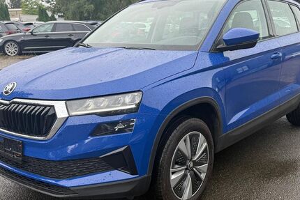 Skoda Karoq 147.195 km 17.990 &euro; Braunschweig 38122