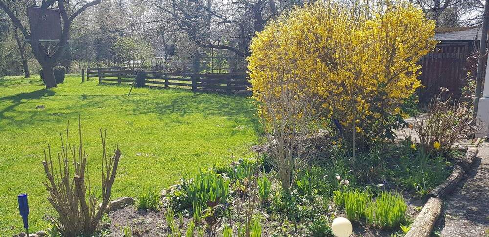 Bauernhaus, Landhaus Cremlingen Weddel - 1 Zimmer, 316 m&sup2;, 890.000&euro; | Angebot:25667755