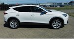 Cupra Formentor 1.5 TSI BMT Klima LED Alu Navi 29.900 km 21.990 &euro; Vordorf 38533