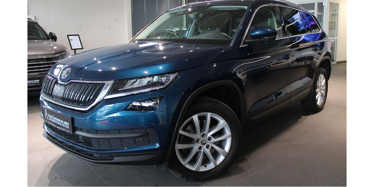 Skoda Kodiaq 181.000 km 24.900 &euro; Braunschweig 38126