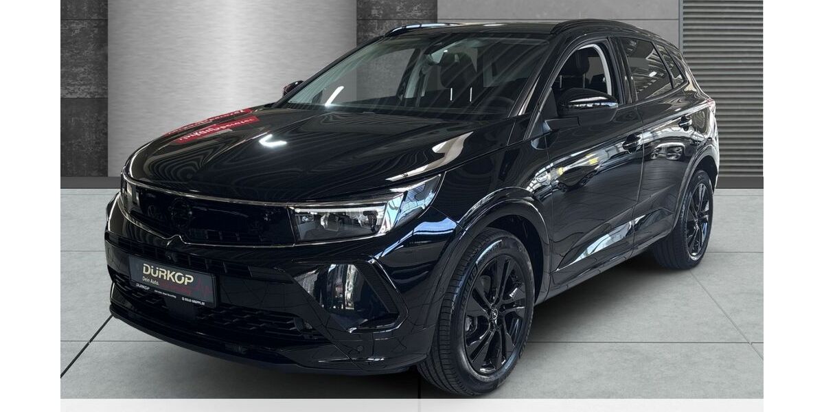 Opel Grandland (X) 29.489 km 23.350 &euro; Goslar 38644