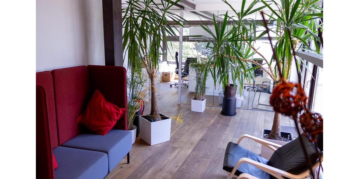 Gewerbeobjekt Braunschweig Westliches Ringgebiet - 2.100&euro; | Angebot:25046746