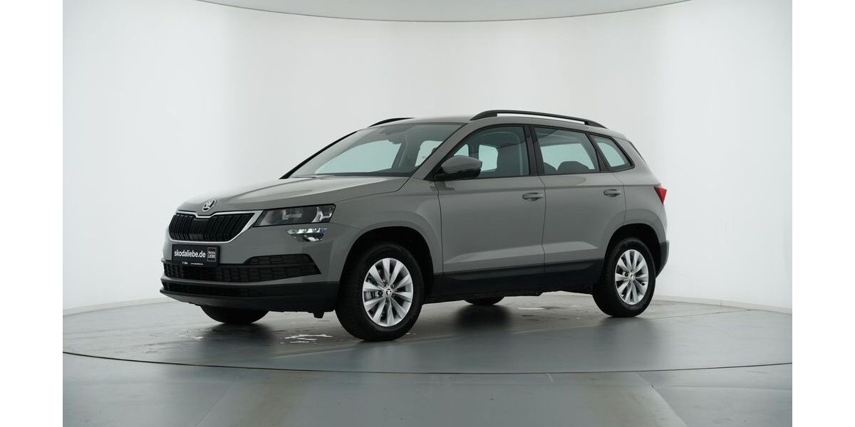 Skoda Karoq 113.997 km 13.889 &euro; Salzgitter 38229