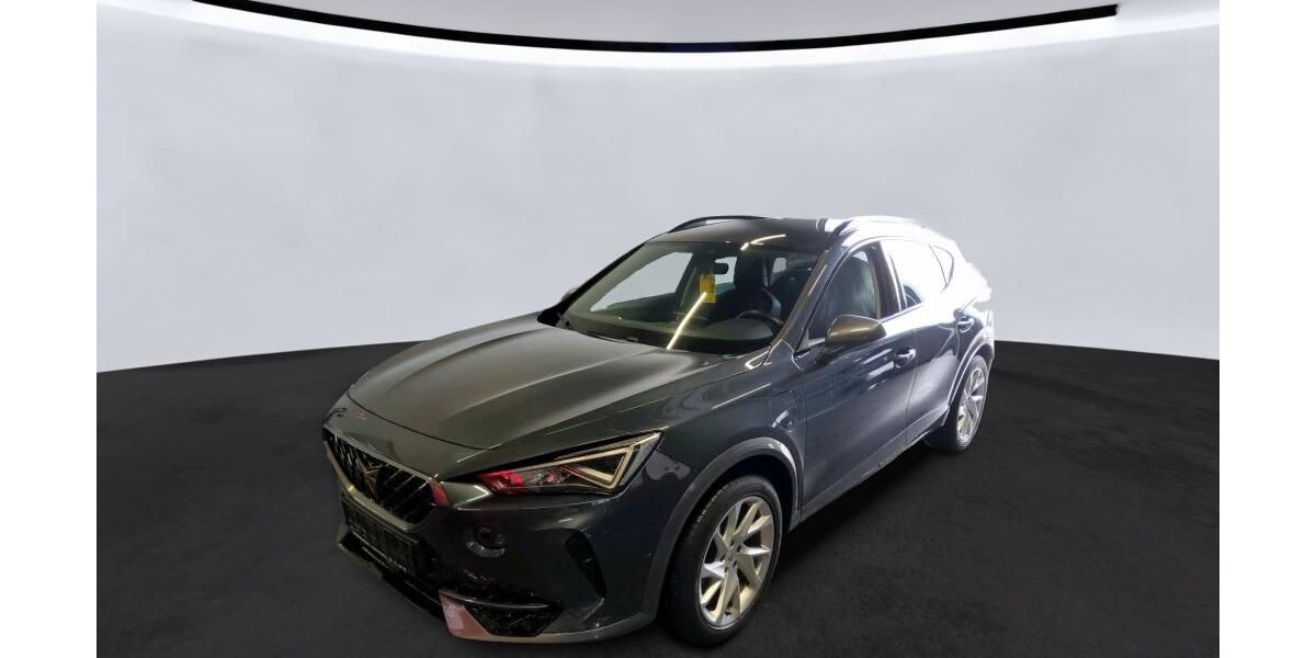 Cupra Formentor 30.769 km 22.950 &euro; Goslar 38644