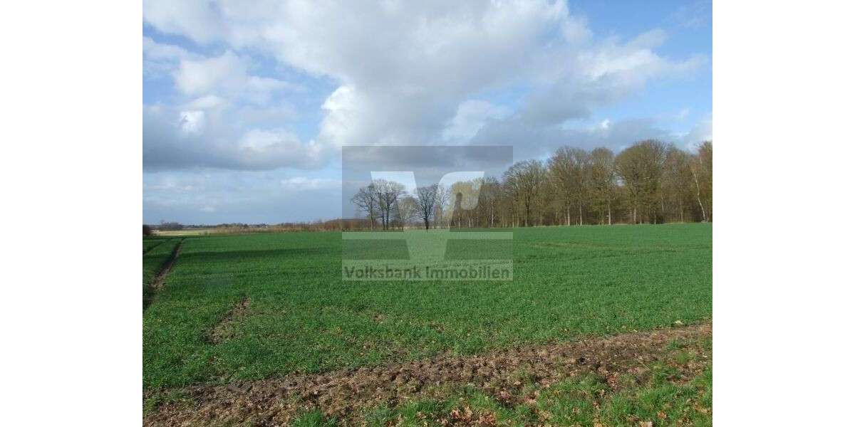 Grundstück Hillerse - 100.000&euro; | Angebot:26110226