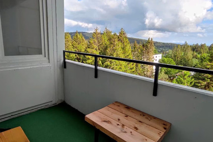 Wohnung Goslar OS Hahnenklee-Bockswiese - 3 Zimmer, 49 m&sup2;, 49.000&euro; | Angebot:21314035