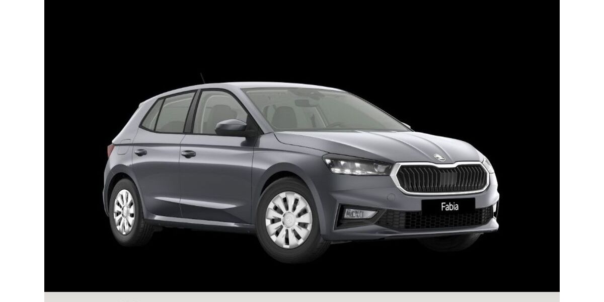 Skoda Fabia 19.580 km 20.115 &euro; Goslar 38644