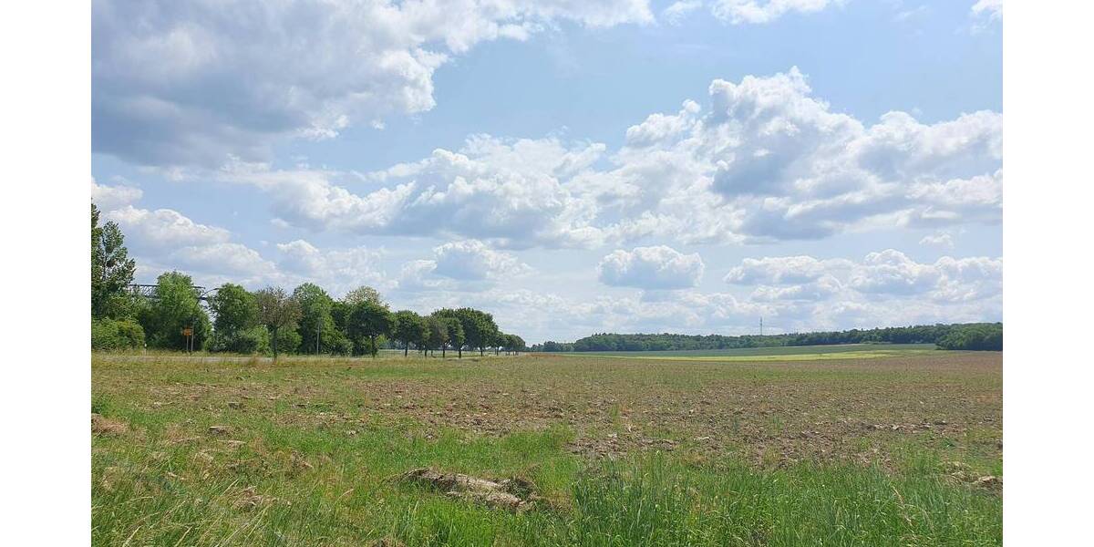Einfamilienhaus Salzgitter Salder - 5 Zimmer, 136 m&sup2;, 349.050&euro; | Angebot:26703331