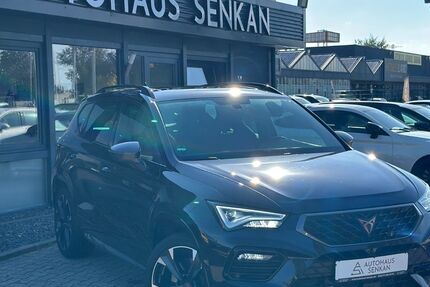 Cupra Ateca 76.500 km 26.990 &euro; Peine 31228