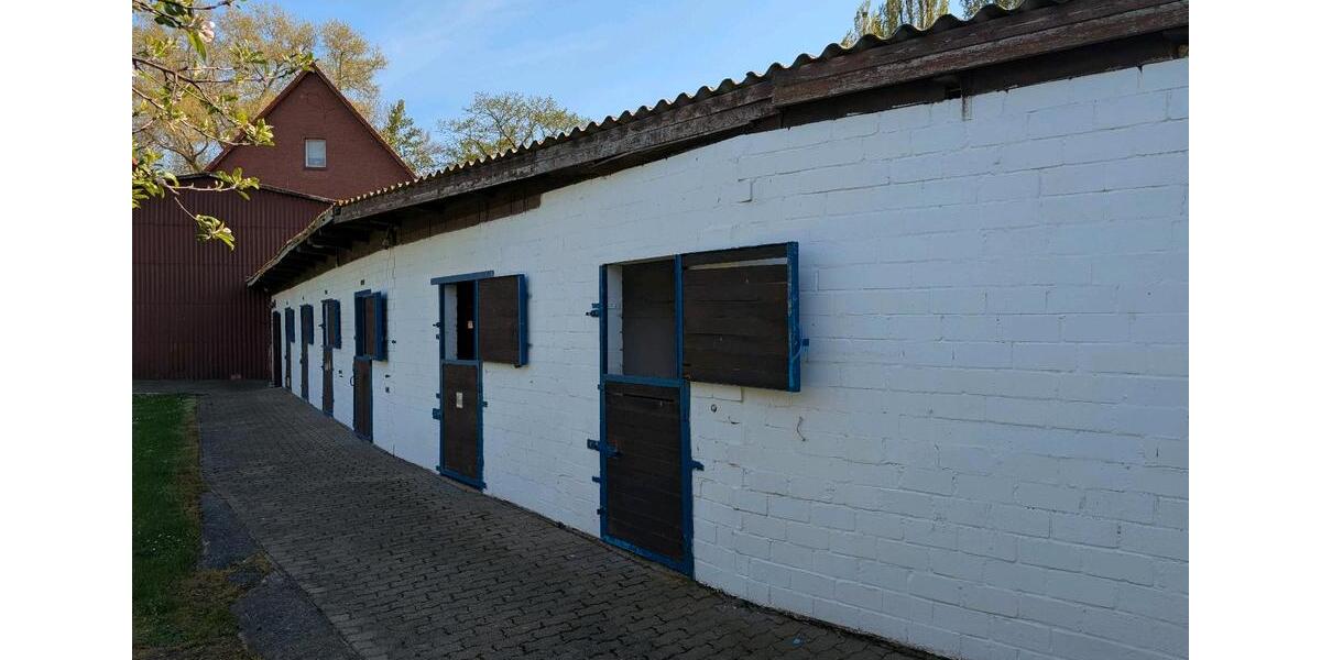 Mehrfamilienhaus, Wohnhaus Salzgitter Ortschaft Nord - 44 Zimmer, 400 m&sup2;, 670.000&euro; | Angebot:23512774