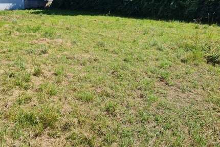 Grundstück Salzgitter Ortschaft Nord - 87.500&euro; | Angebot:26154314