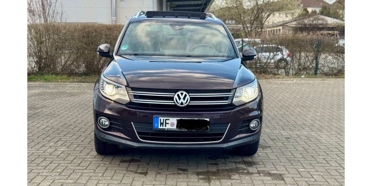 VW Tiguan 155.000 km 11.490 &euro; Wolfenbüttel 38304