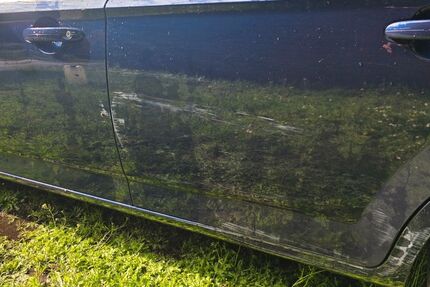 Ford Mondeo 276.996 km 3.000 &euro; Burgdorf 38272