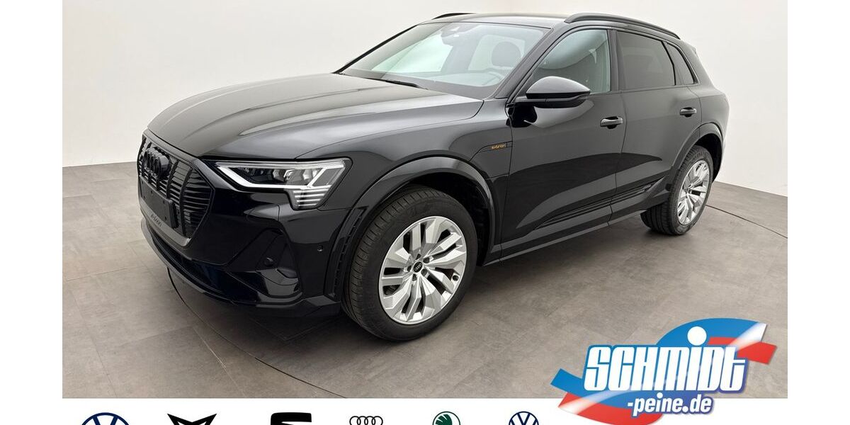 Audi e-tron 46.260 km 37.300 &euro; Peine 31226