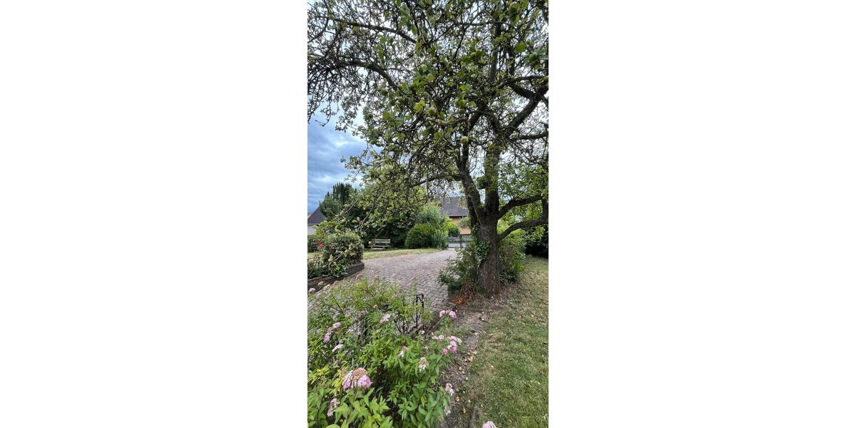 Einfamilienhaus Schöningen - 4 Zimmer, 146 m&sup2;, 270.000&euro; | Angebot:27056363