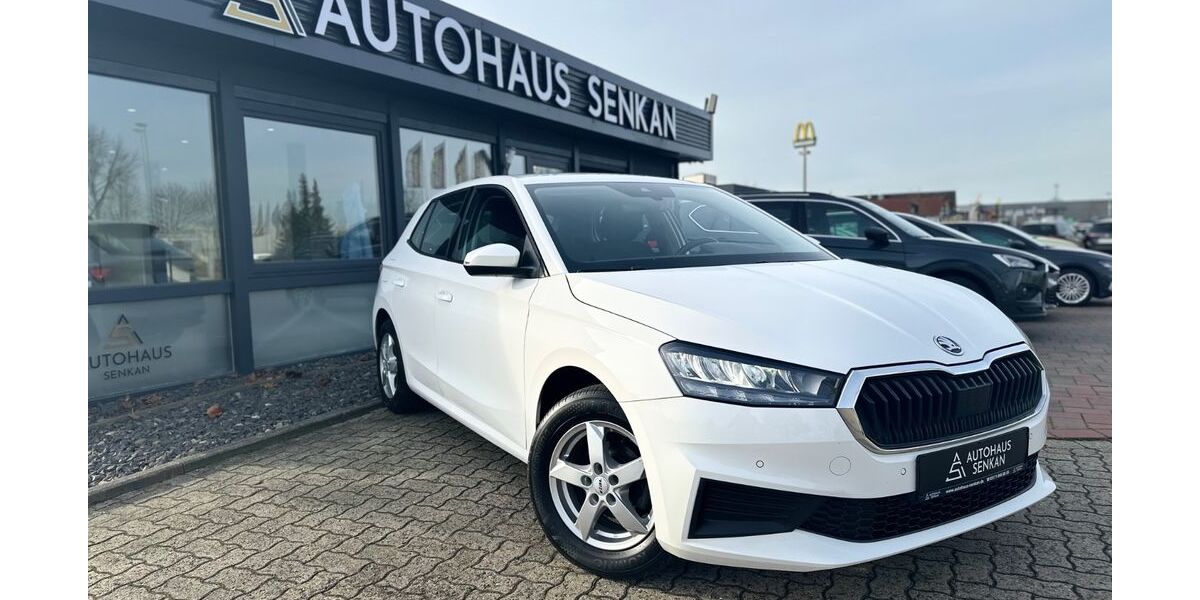 Skoda Fabia 90.000 km 12.490 &euro; Peine 31228