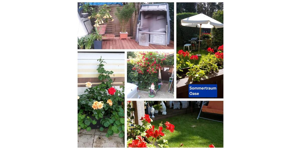 Einfamilienhaus Salzgitter Ortschaft Nord - 3 Zimmer, 40 m&sup2;, 85.000&euro; | Angebot:19596420