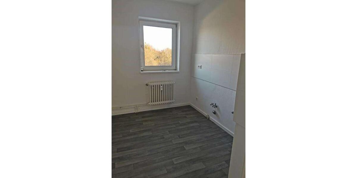 Etagenwohnung Salzgitter Ortschaft Südost - 3 Zimmer, 54 m&sup2;, 348&euro; | Angebot:25569856