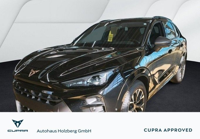 Cupra Terramar 17.290 km 35.475 &euro; Braunschweig 38114