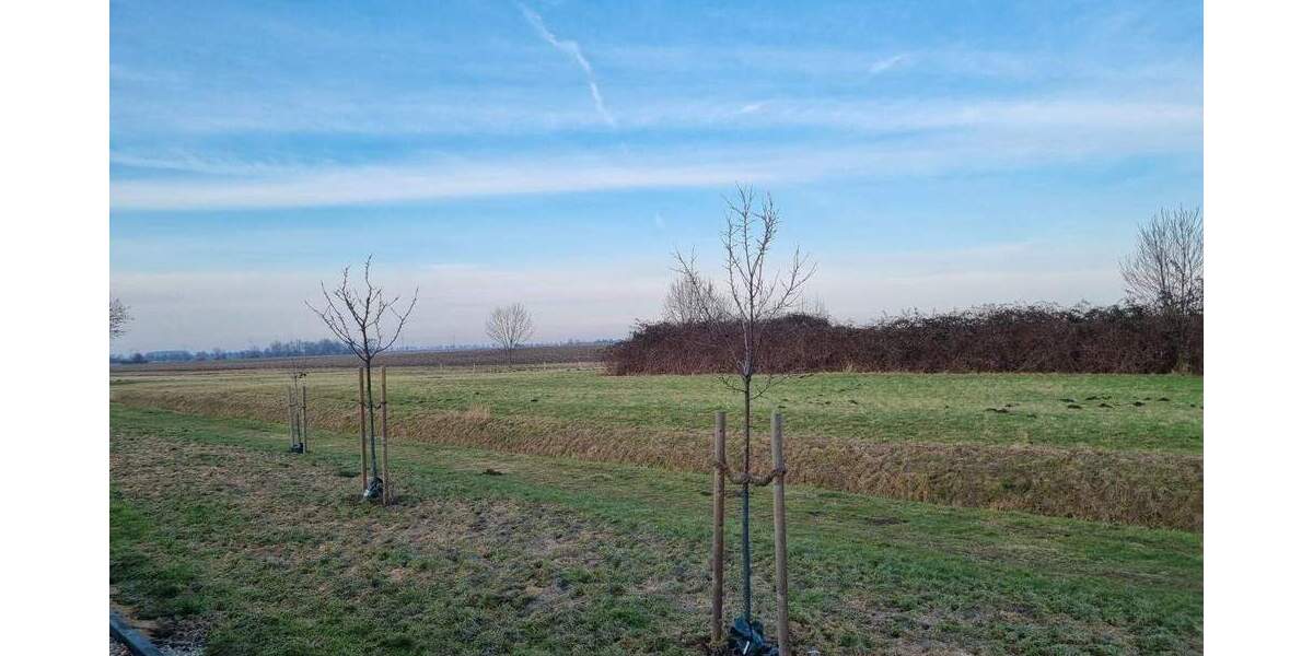 Einfamilienhaus Dingelbe Dingelbe - 6 Zimmer, 175 m&sup2;, 540.000&euro; | Angebot:25777781