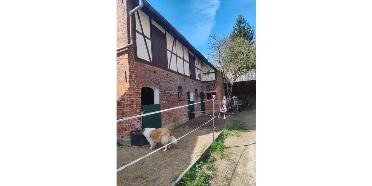 Bauernhaus, Landhaus Königslutter am Elm - 280.000&euro; | Angebot:26091113