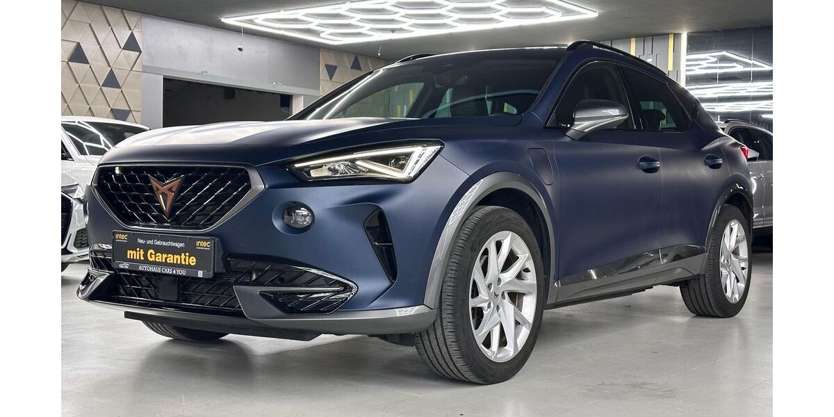 Cupra Formentor 81.350 km 23.490 &euro; Peine 31226