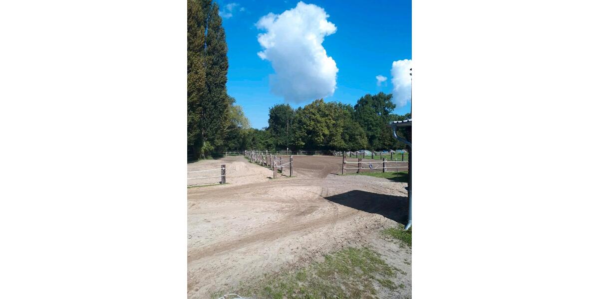 Mehrfamilienhaus, Wohnhaus Salzgitter Ortschaft Nord - 44 Zimmer, 400 m&sup2;, 670.000&euro; | Angebot:23512774