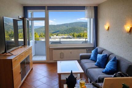 Wohnung Goslar OS Hahnenklee-Bockswiese - 3 Zimmer, 49 m&sup2;, 55.000&euro; | Angebot:24888445