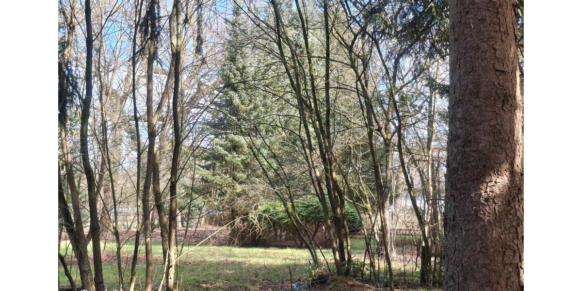 Einfamilienhaus Ilsede - 7 Zimmer, 130 m&sup2;, 250.000&euro; | Angebot:26132887