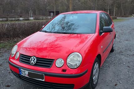 VW Polo 115.000 km 980 &euro; Braunschweig 38124
