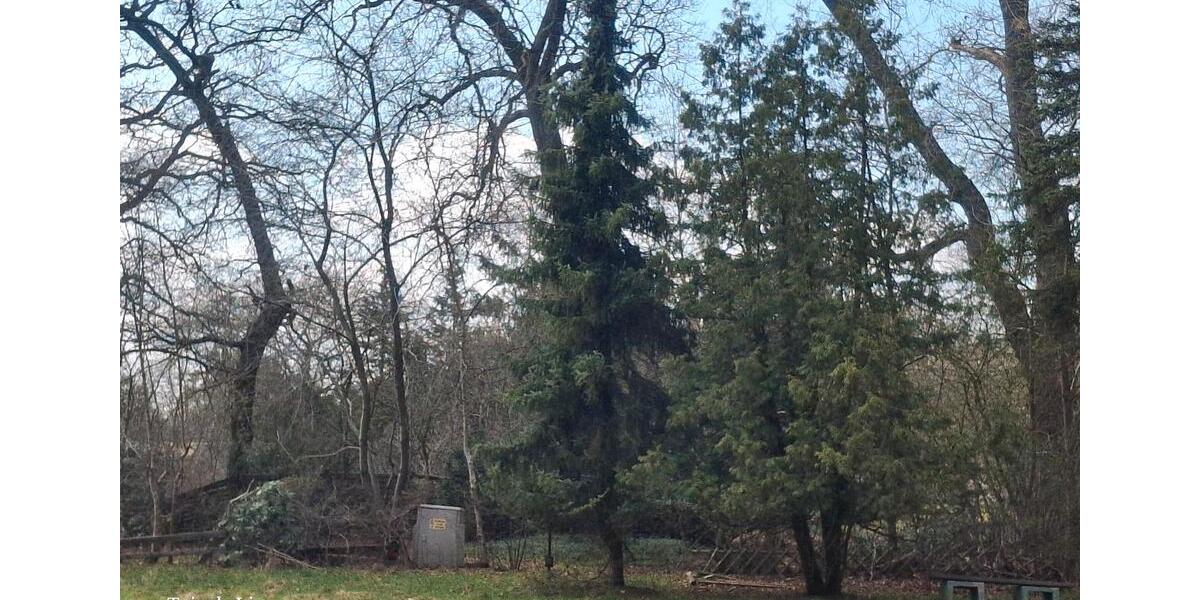 Einfamilienhaus Ilsede - 7 Zimmer, 130 m&sup2;, 250.000&euro; | Angebot:26132887