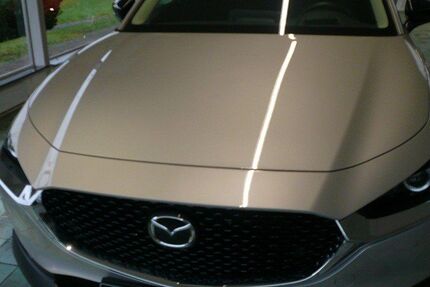 Mazda CX-30 20.000 km 27.970 &euro; Salzgitter 38228