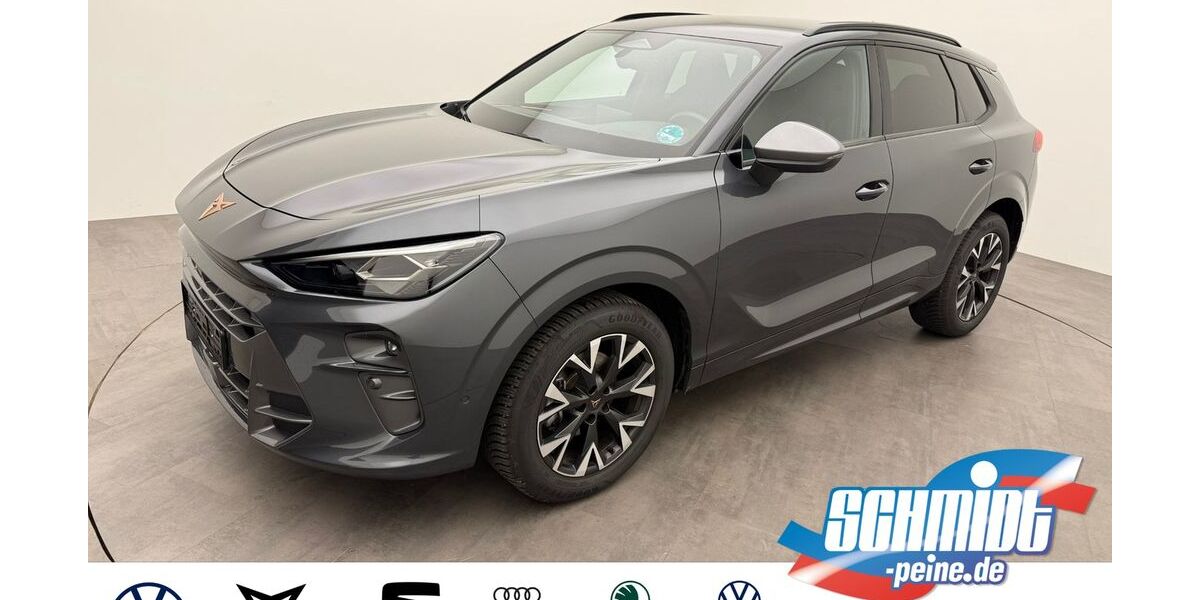 Cupra Terramar 26.560 km 34.200 &euro; Peine 31226