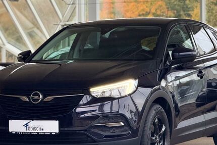 Opel Grandland (X) 94.321 km 13.770 &euro; Salzgitter 38228
