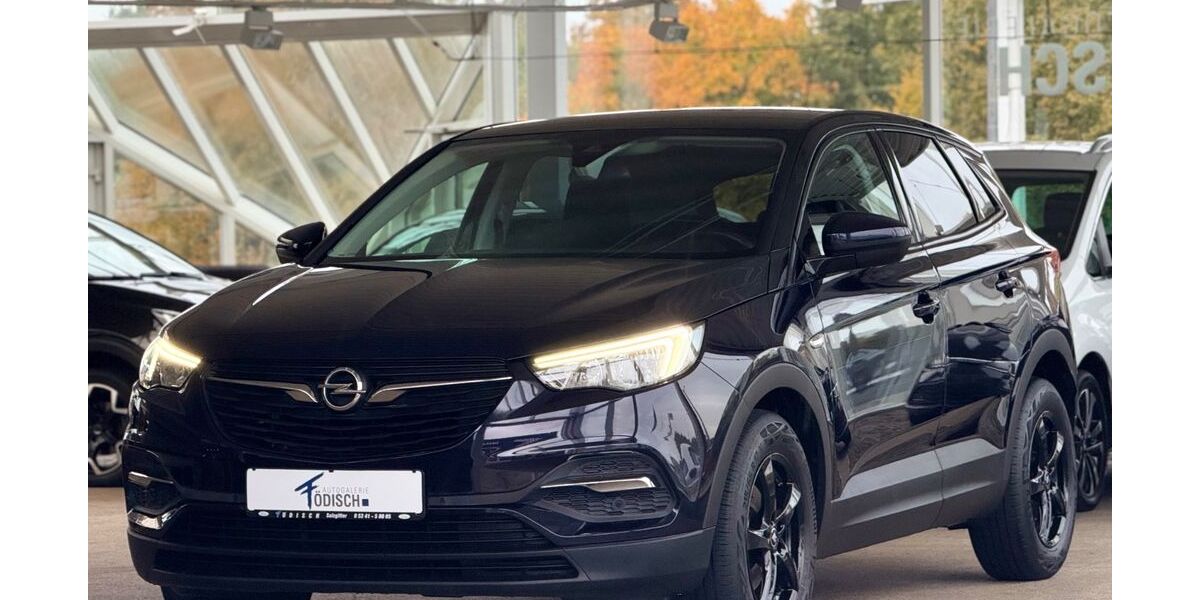 Opel Grandland (X) 94.321 km 13.770 &euro; Salzgitter 38228